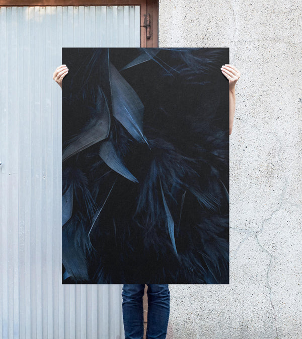 feather poster