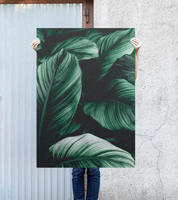 tropical leaves poster
